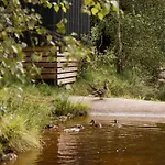 Mobil 36m² Avec Terrasse - 6 Personnes, 3 - Api-1-52-530 Kemp Granges-Aumontzey