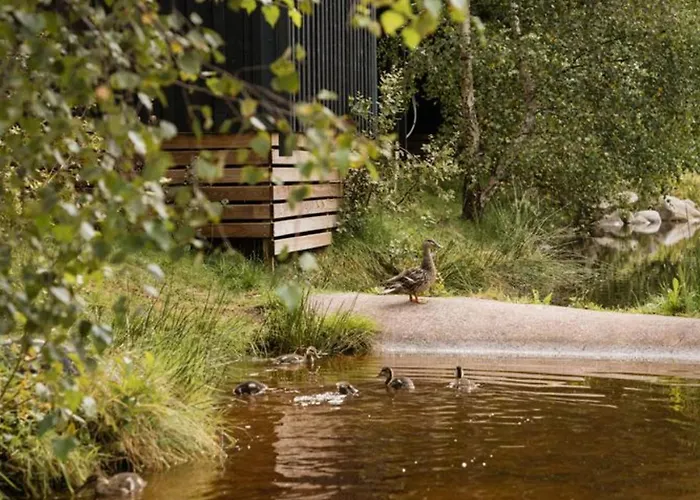 Kemp Mobil 36m² Avec Terrasse - 6 Personnes, 3 - Api-1-52-530 Granges-Aumontzey