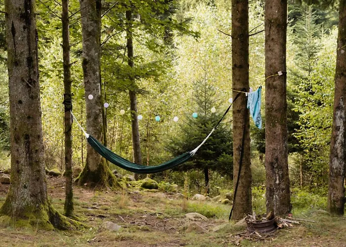 Mobil 36m² Avec Terrasse - 6 Personnes, 3 - Api-1-52-530 Granges-Aumontzey