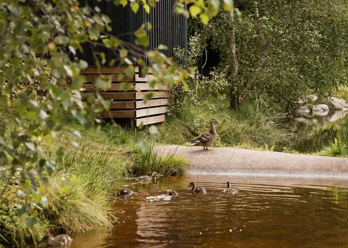 Mobil 36m² Avec Terrasse - 6 Personnes, 3 - Api-1-52-530 Campsite Granges-Aumontzey